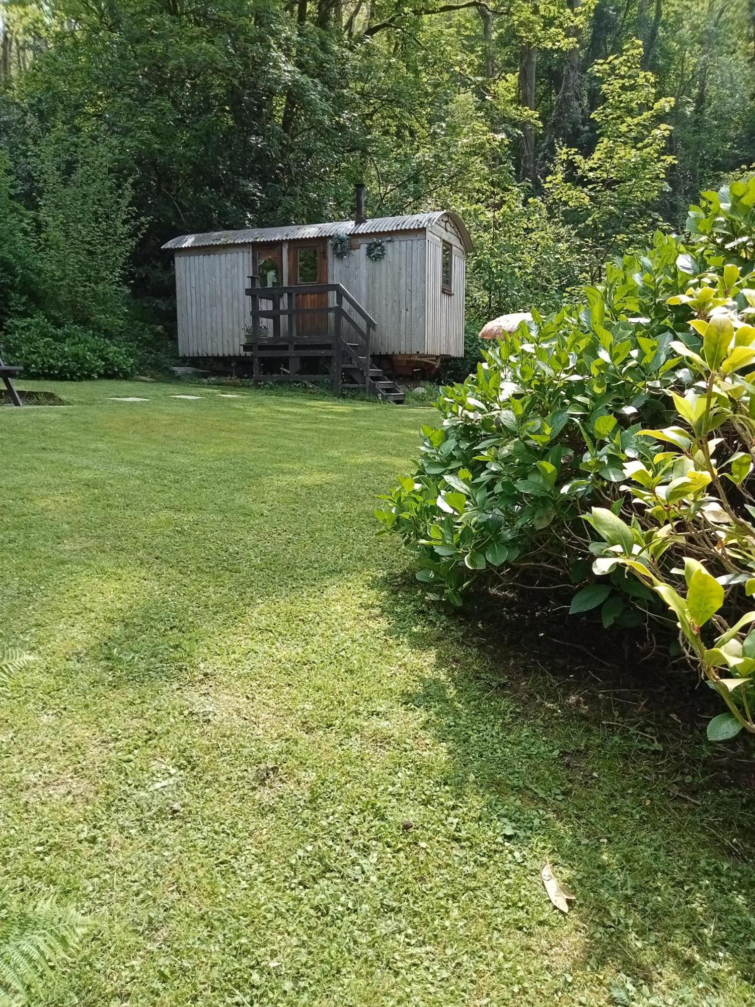 'Morris' The Shepherd'S Hut And Woodland Hot Tub Experience Carmarthen Kültér fotó