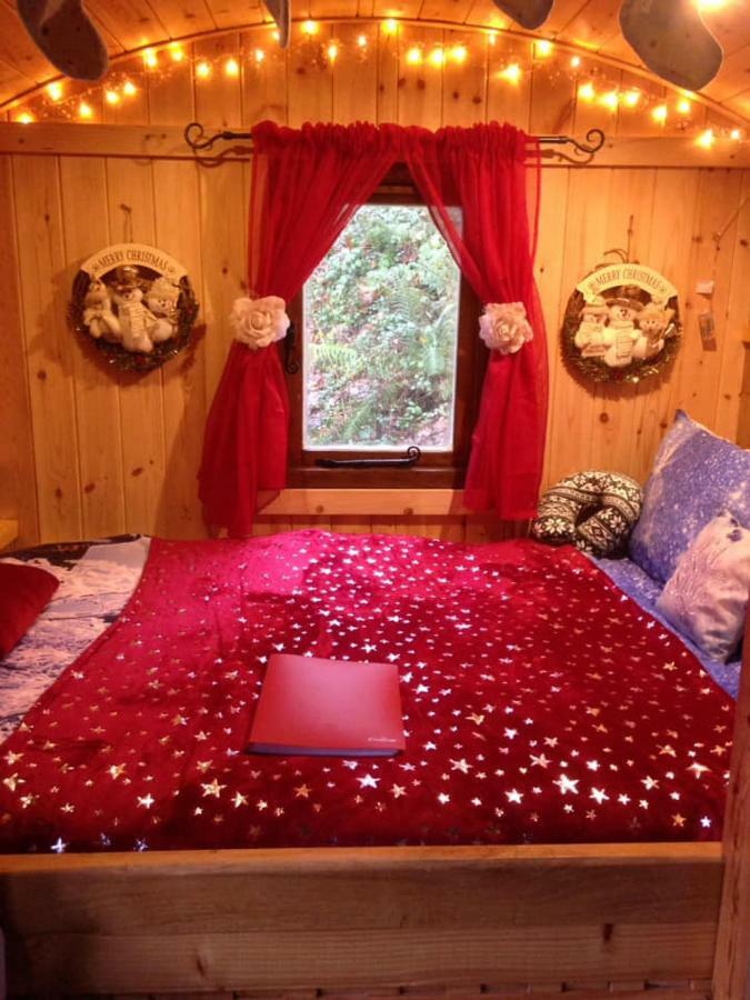 'Morris' The Shepherd'S Hut And Woodland Hot Tub Experience Carmarthen Kültér fotó