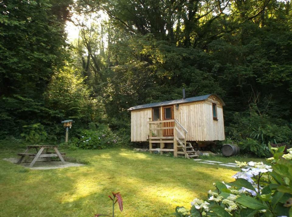 'Morris' The Shepherd'S Hut And Woodland Hot Tub Experience Carmarthen Kültér fotó