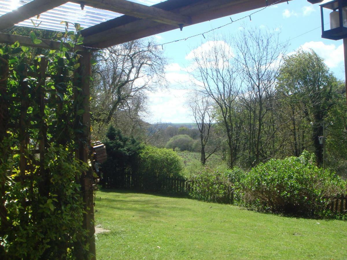 'Morris' The Shepherd'S Hut And Woodland Hot Tub Experience Carmarthen Kültér fotó