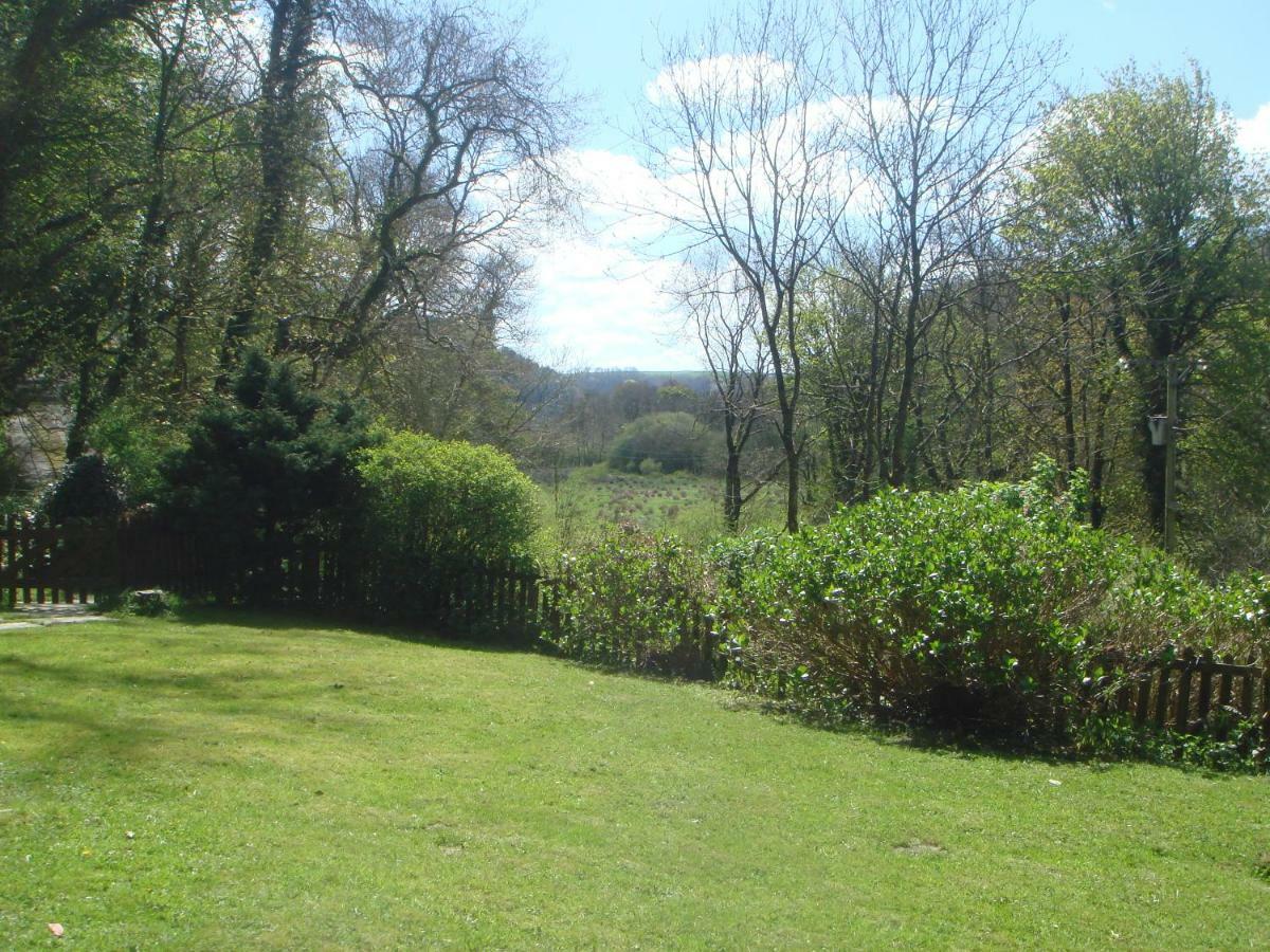 'Morris' The Shepherd'S Hut And Woodland Hot Tub Experience Carmarthen Kültér fotó