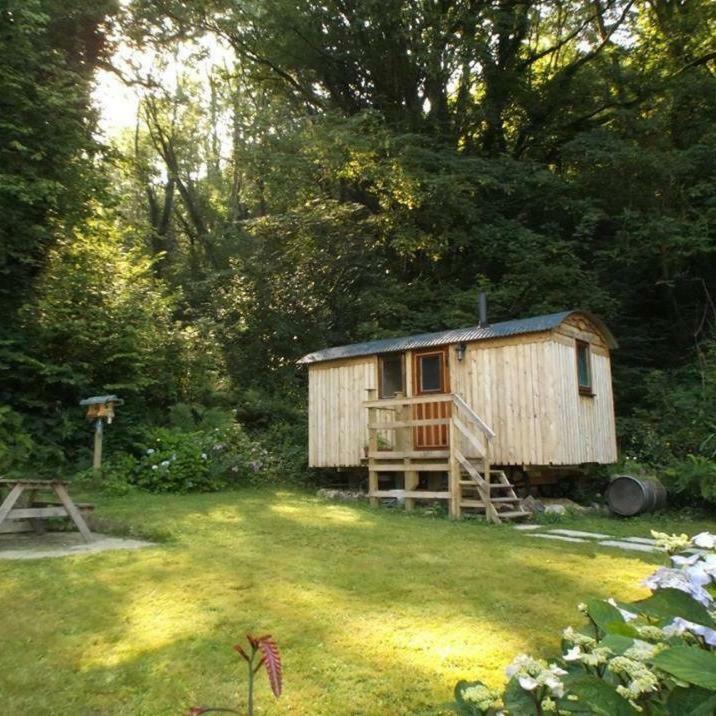 'Morris' The Shepherd'S Hut And Woodland Hot Tub Experience Carmarthen Kültér fotó