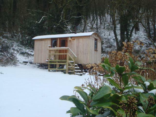 'Morris' The Shepherd'S Hut And Woodland Hot Tub Experience Carmarthen Kültér fotó