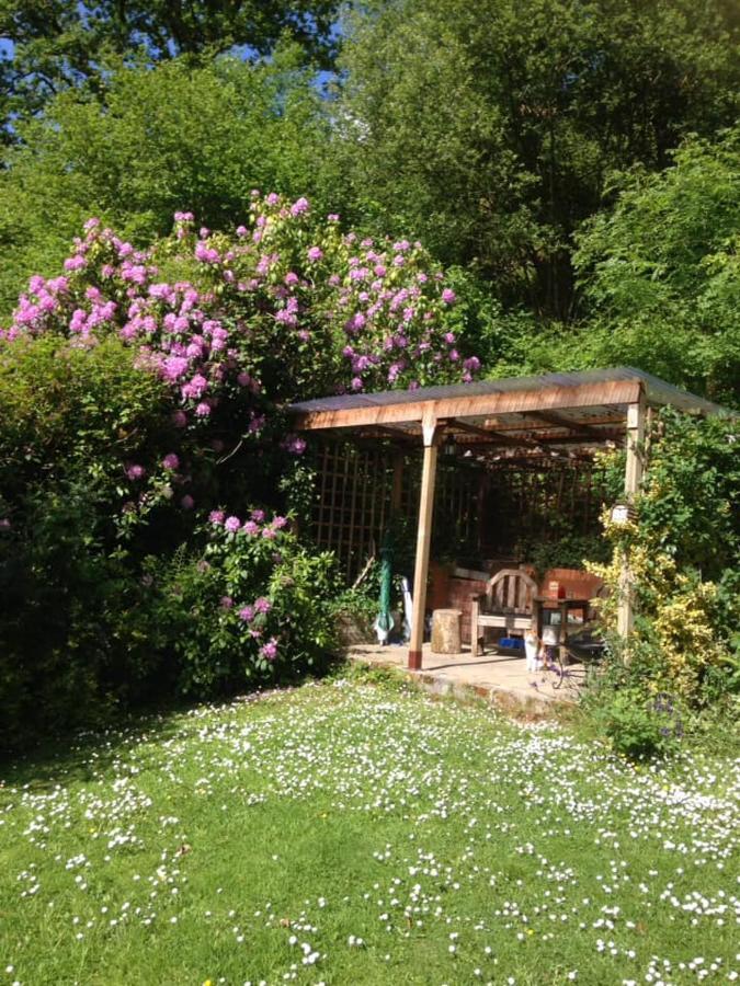 'Morris' The Shepherd'S Hut And Woodland Hot Tub Experience Carmarthen Kültér fotó