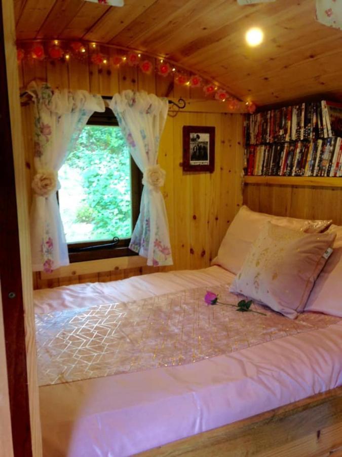 'Morris' The Shepherd'S Hut And Woodland Hot Tub Experience Carmarthen Kültér fotó